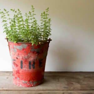 A red vintage fire bucket