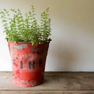 A red vintage fire bucket